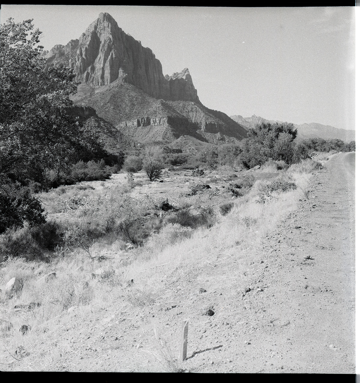 Location of right of way for the new road from a point just north of the visitor center. Looking south. Work of removing top soil just started.