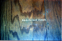 Color Photos of the old visitor center exhibits.