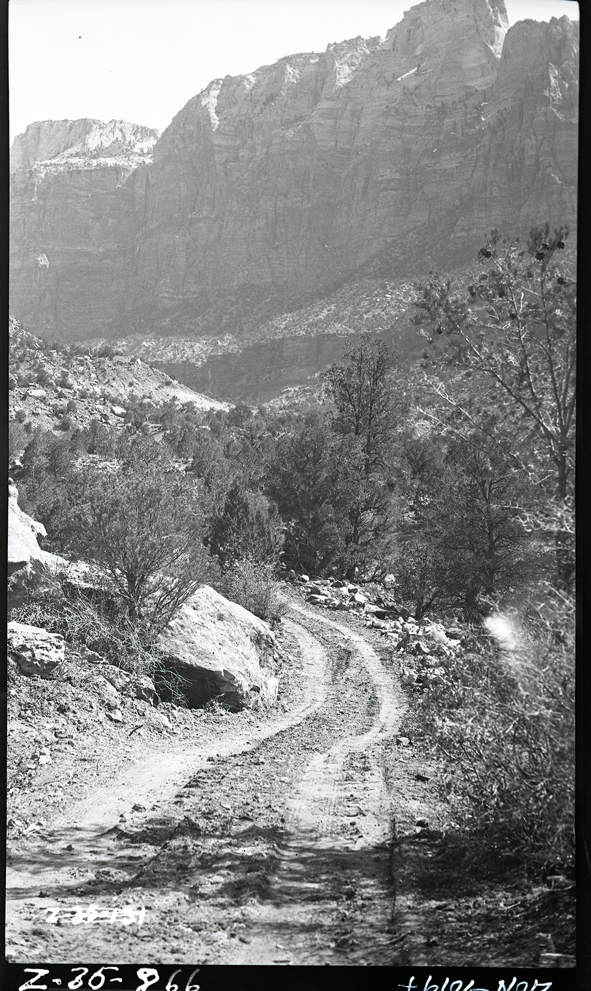 Truck trail to petrified forest area and west boundary. [Chinle Trail]