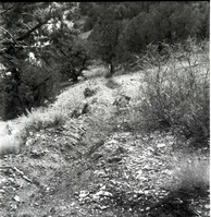 BW photos of rock slides in Kolob Canyons - 2x2.