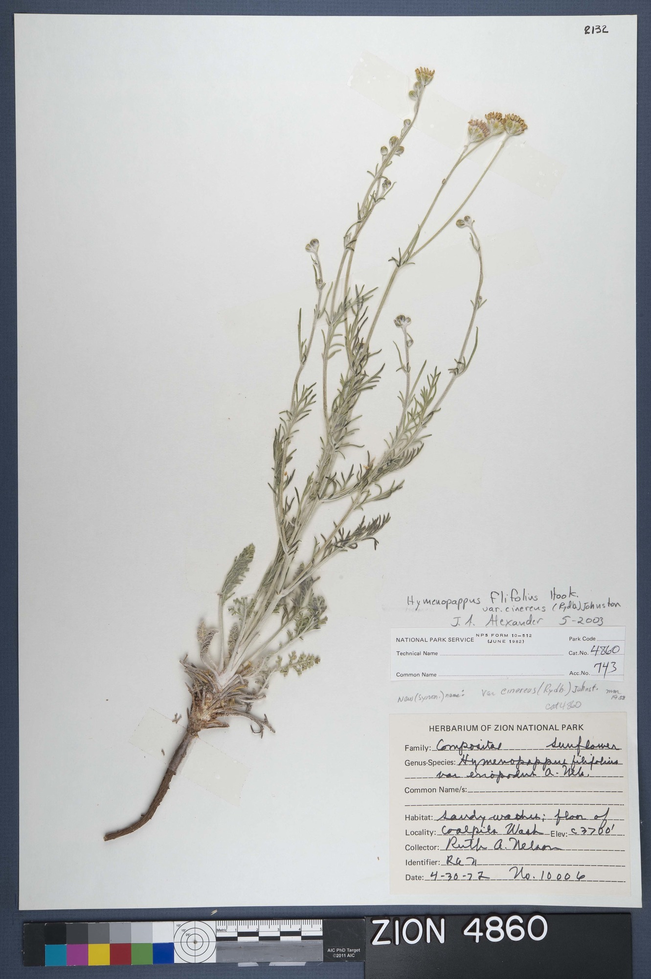 Herbarium Specimen Sheet 4860