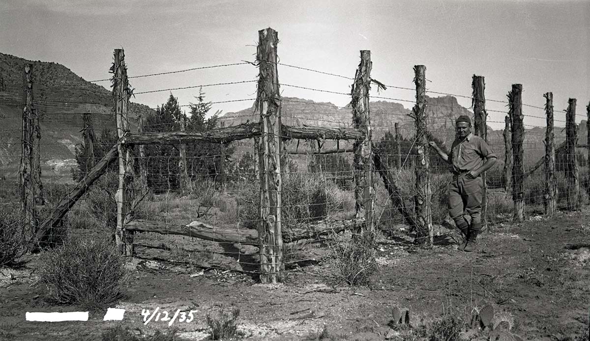 Worker (H. Firm?) standing by fence enclosure in petrified forest.