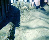 The utilities project at Zion Lodge.