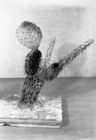 Diorama exhibit. Wax reproduction of prickly pear cactus, Opuntia polyacantha. Created by Civilian Conservation Corps (CCC) workers at the Western Museum Laboratory (WML) on Fulton Street, Berkeley, California.