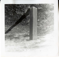 Brush clearing and removal.