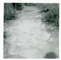 The West Rim trail half tunnel maintenance/stabilization.