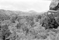 BW photo of the 1937 grazing study 35MM.