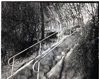 Detail of stairway construction, Weeping Rock Trail.