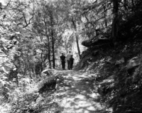 Visitor use in nature study - walking along trail.