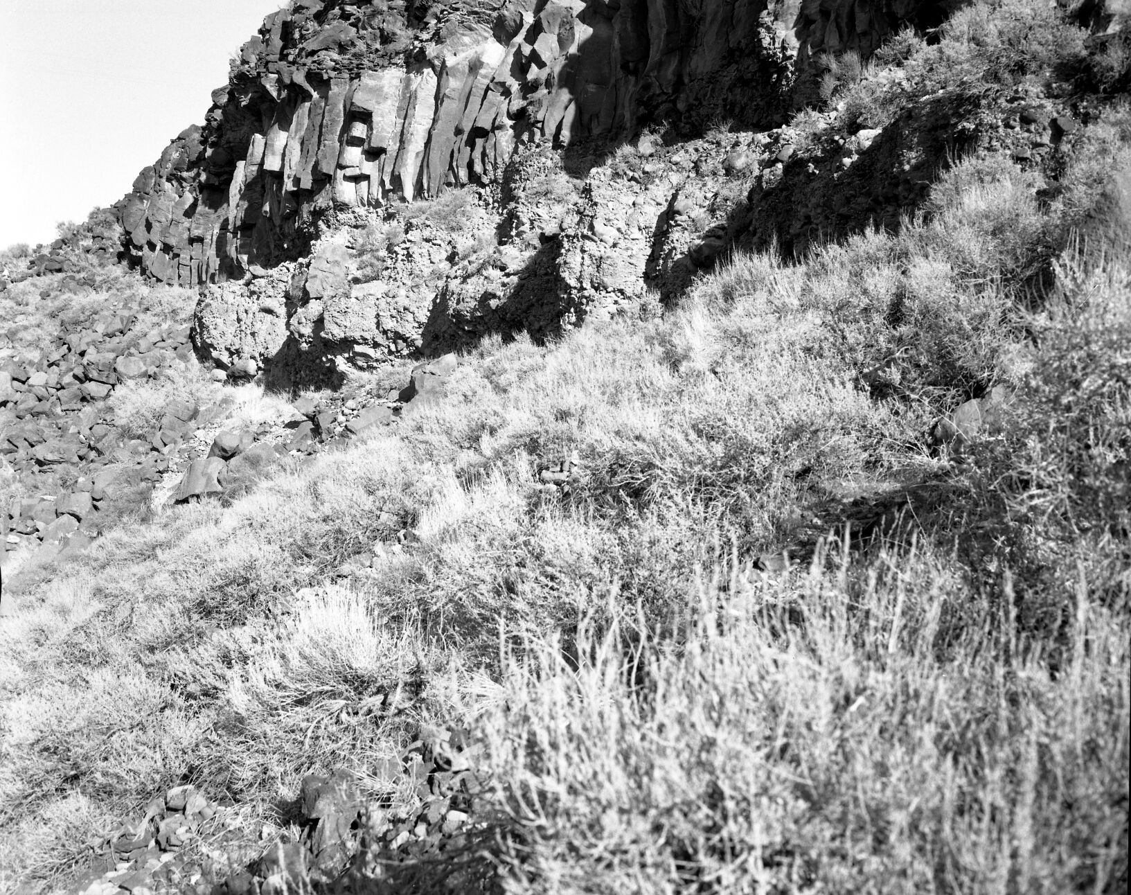 Parunuweap conglomerate and overlying lava, in Dalton Wash near Zion National Park.