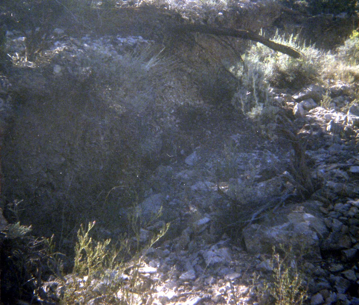 Color Photos of rock slides in Kolob Canyon.