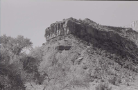 BW photo of the 1937 grazing study 35MM.