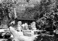 Visitors at the wayside exhibit at the Temple of Sinawava.