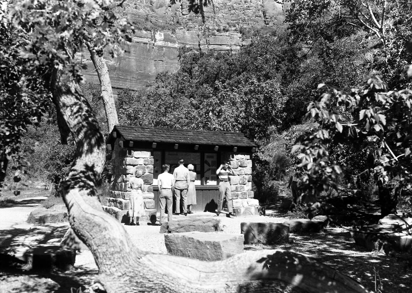 Visitors at the wayside exhibit at the Temple of Sinawava.