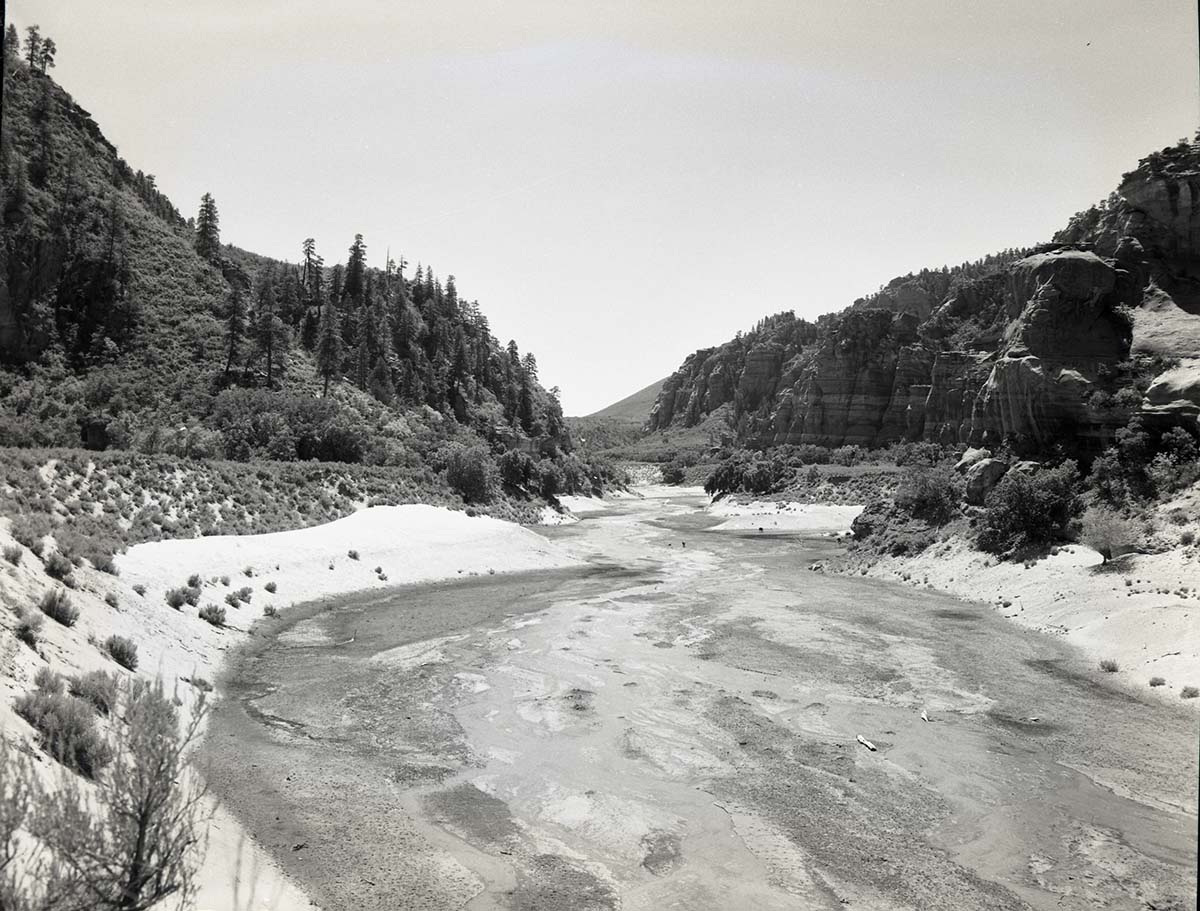 Water use in Hop Valley: irrigation, improper land use, and overgrazing to refute water diversion rights claim under grazing permit.