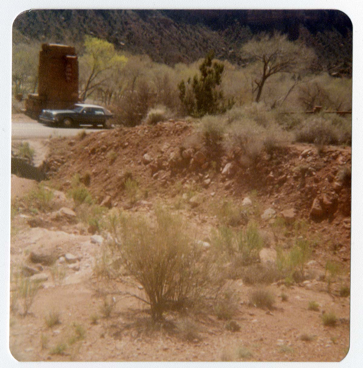 The Springdale water pipeline during construction.