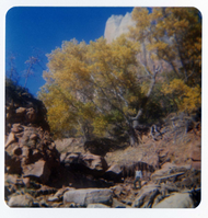 Man standing on bank near the Birch Creek Dam.