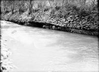 Rock-wire revetment just above NPS sewer farm and below the Springdale ditch. River has undercut structure.