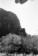 BW Photos of the Temple of Sinawava - 35mm.