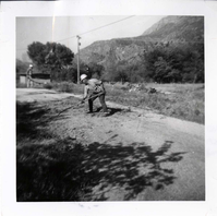 NPS employees clearing and removing brush.