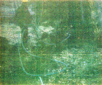 The Zion Lodge utilities project.