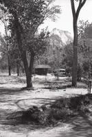 Campsites at the South Campground.