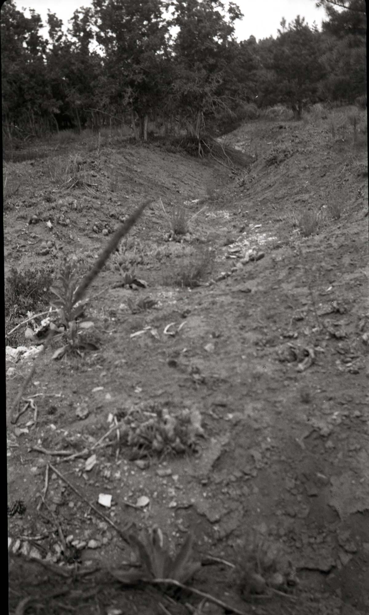 Start of erosion gully in Corral Hollow.