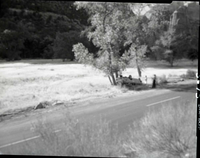 Auto accident 6 miles south of Zion Lodge. Car overturned just off road.