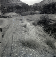 East side road repair and turn out construction.