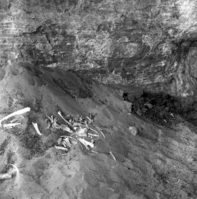42WS0069. B&W negative of Indian cave in Cave Valley for documenting pot hunter activities and vandalism.