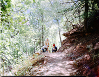 Color Photos of Weeping Rock - 4x5.