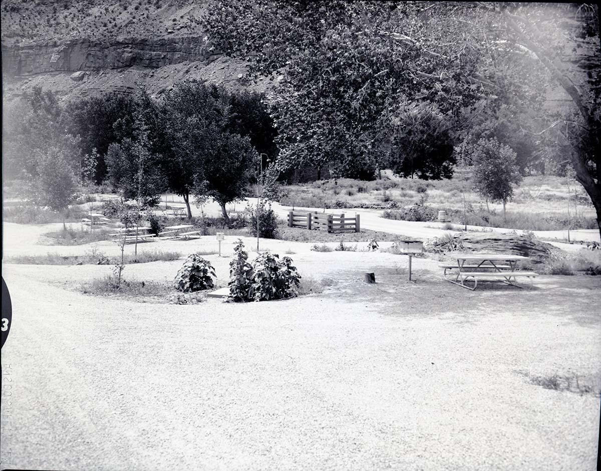 Road and sites for South Campground extension.