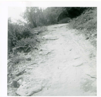 The West Rim trail half tunnel maintenance/stabilization.