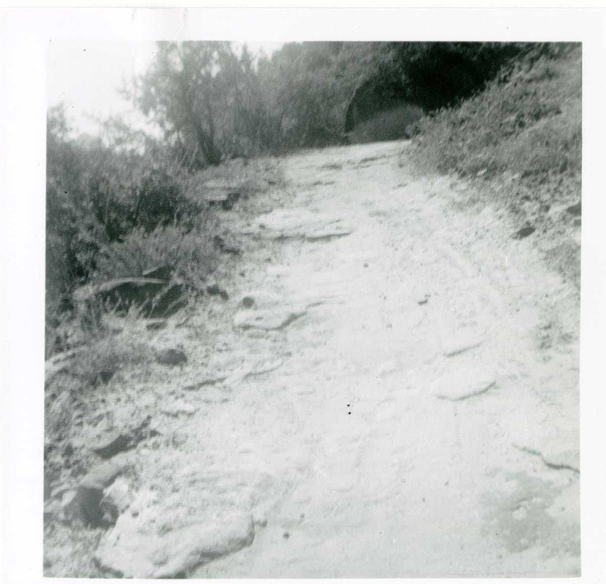 The West Rim trail half tunnel maintenance/stabilization.