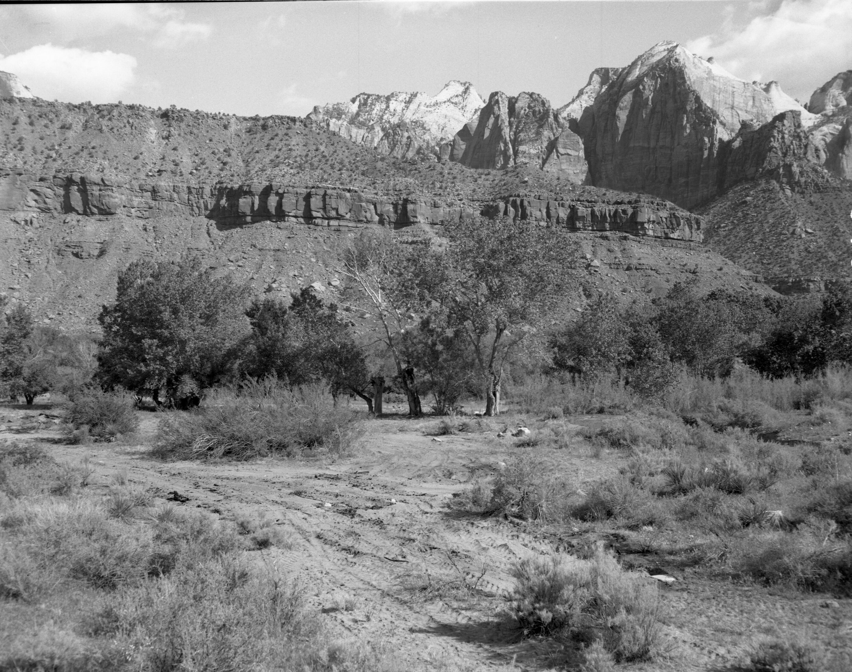 Samuel Crawford property with sheds and rubbish removed.