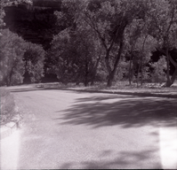 Road and trees along the scenic canyon drive near the Grotto.