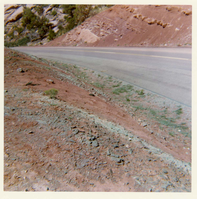 Color photo of the completion of the Kolob Canyon Road hydroseeding experiment.