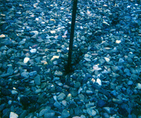 Sewer treatment plant.