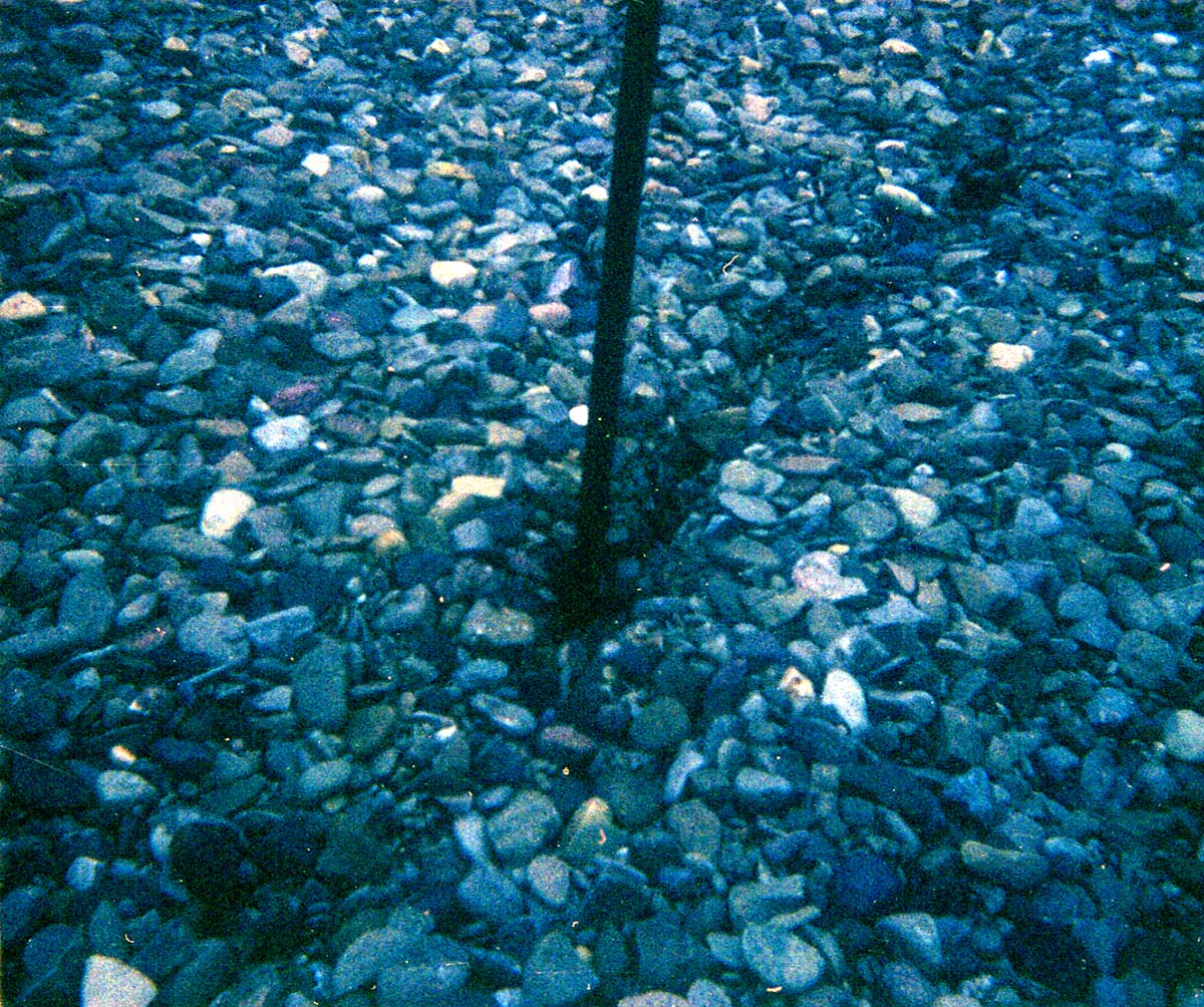 Sewer treatment plant.