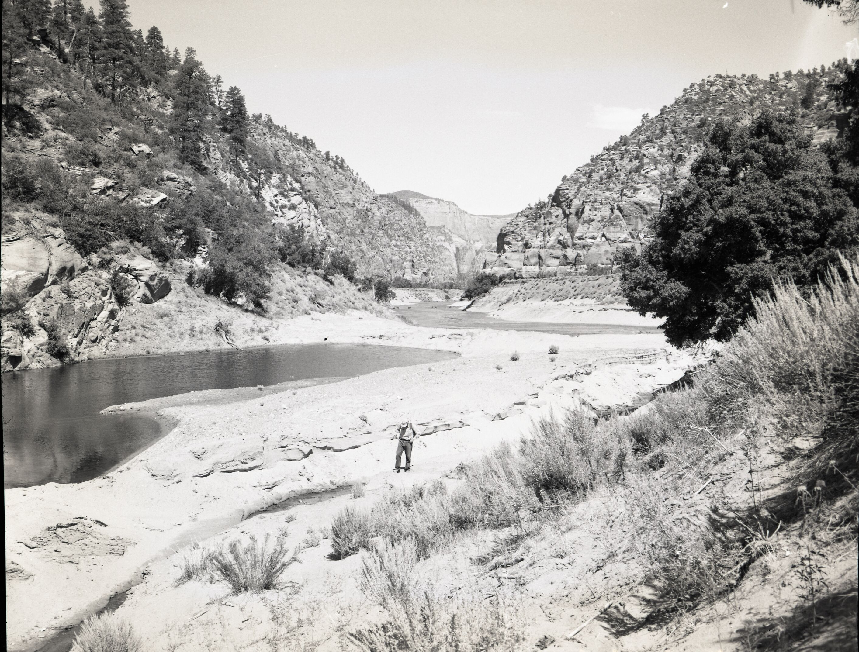 Water use in Hop Valley: irrigation, improper land use, and overgrazing to refute water diversion rights claim under grazing permit.