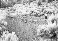 Detention dam near sawmill on East Rim. 40 cubic yards of material, drains 20 acres.