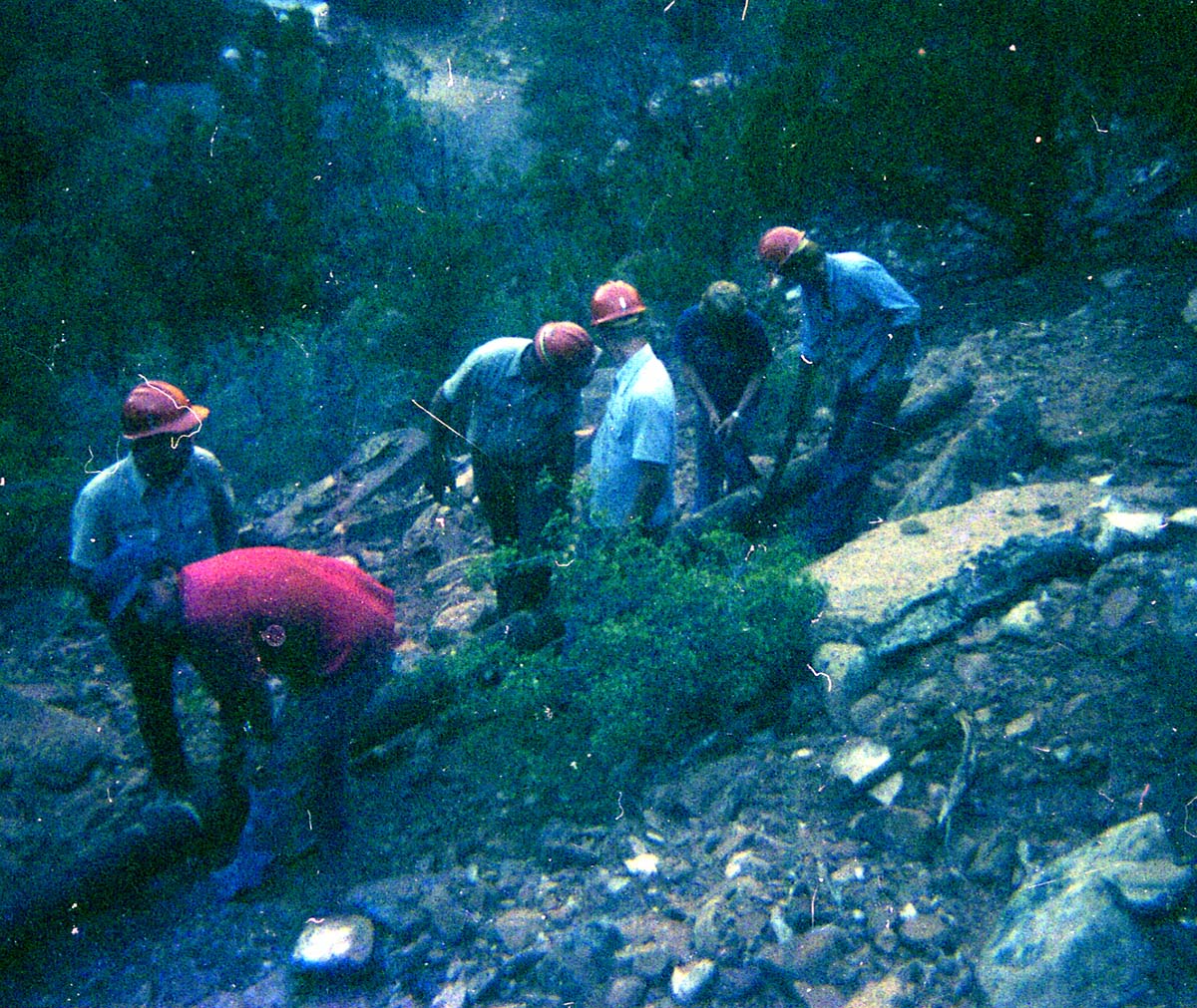 The Temple of Sinawava spring project - scaffolding construction and use.