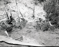 Vandalism of natural resources at Neck Spring, two small seeps. Water matters involving Evan S. Lee.