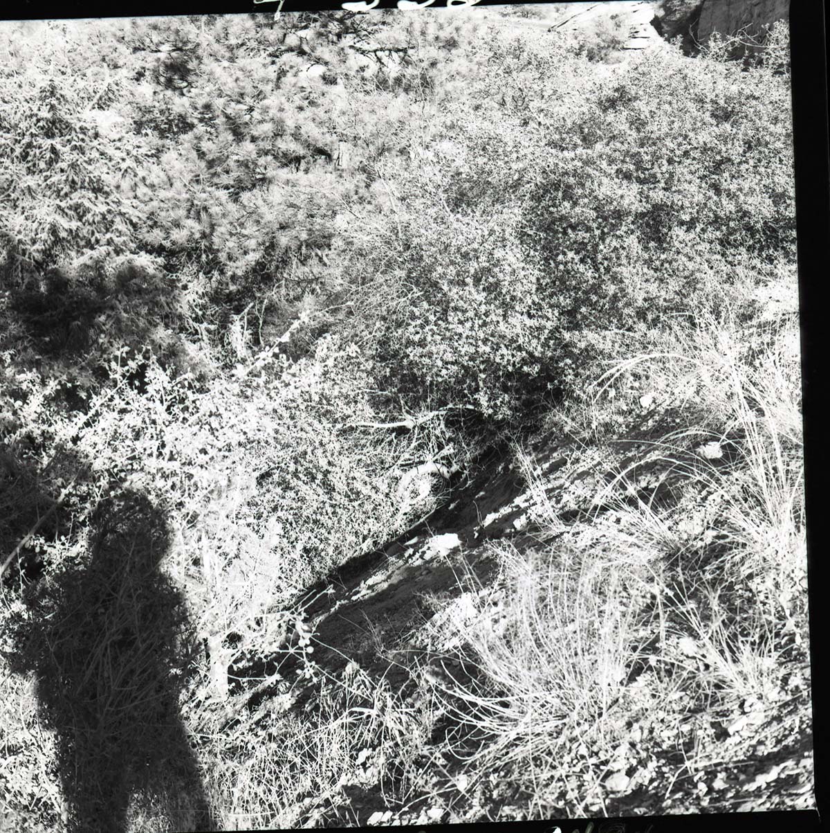 Site of motorcycle accident above small tunnel.