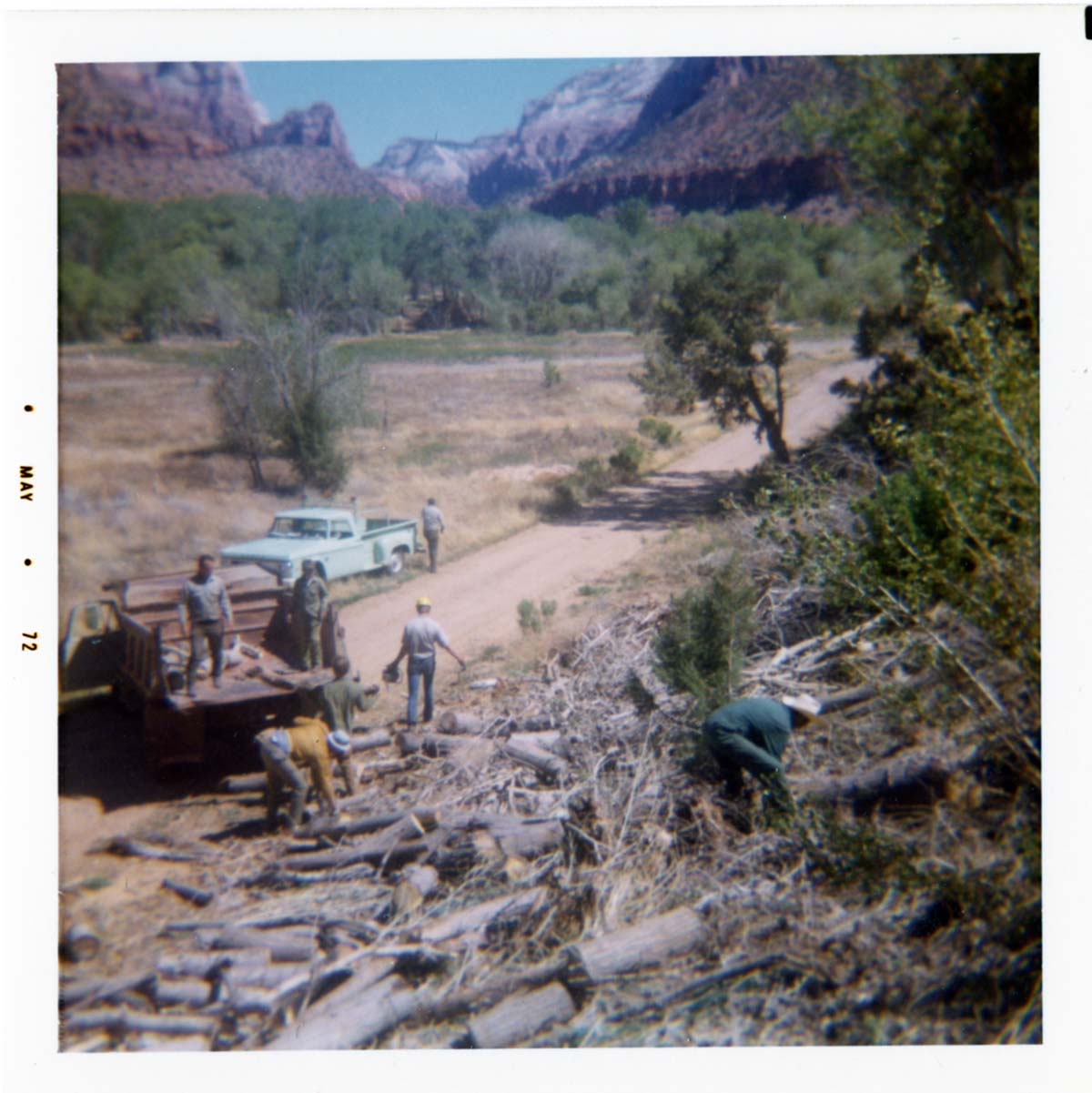 Boy Scout group cleaning up after tree crew in Watchman area.