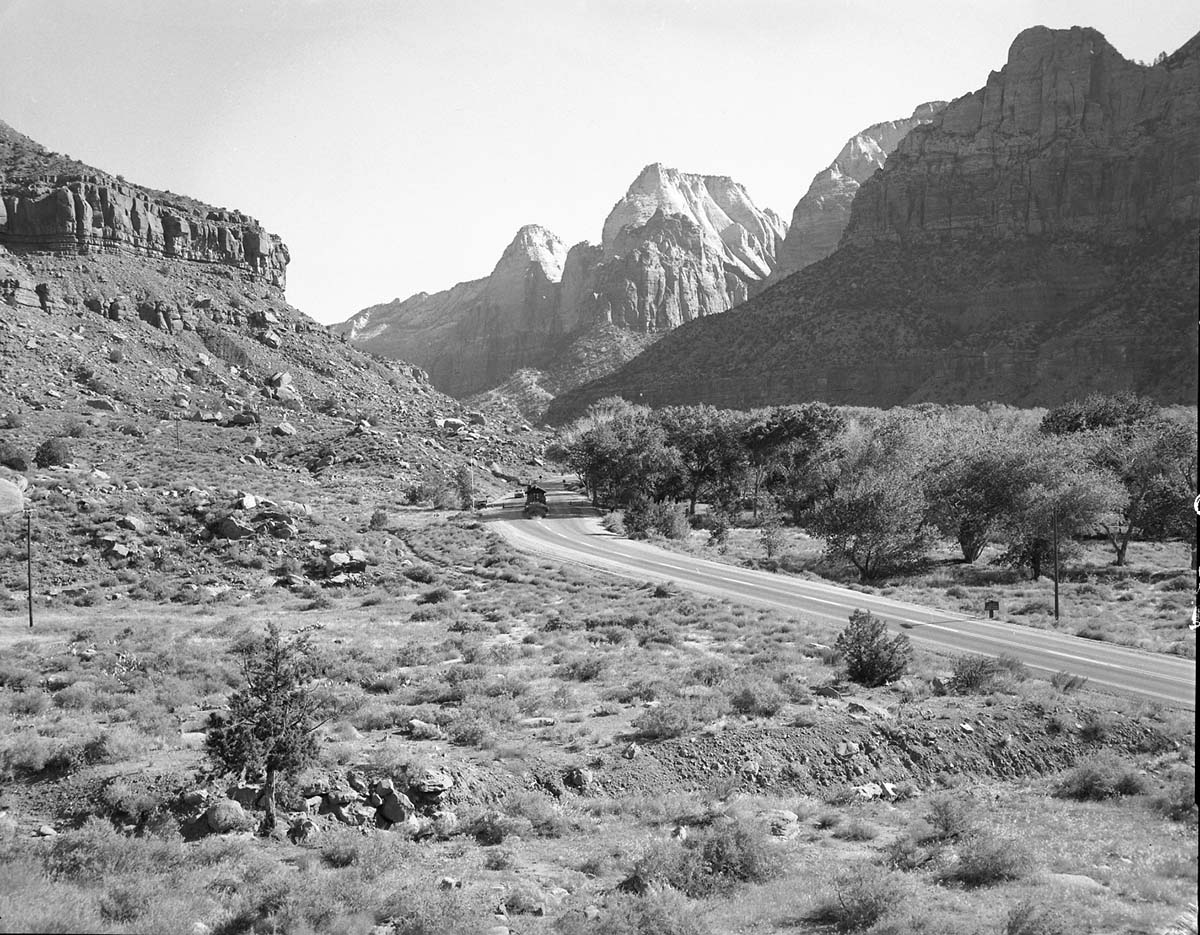 Habitat record near South Entrance.