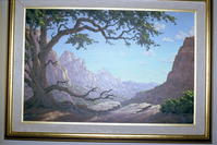 Color Photos of a temporary art exhibit.