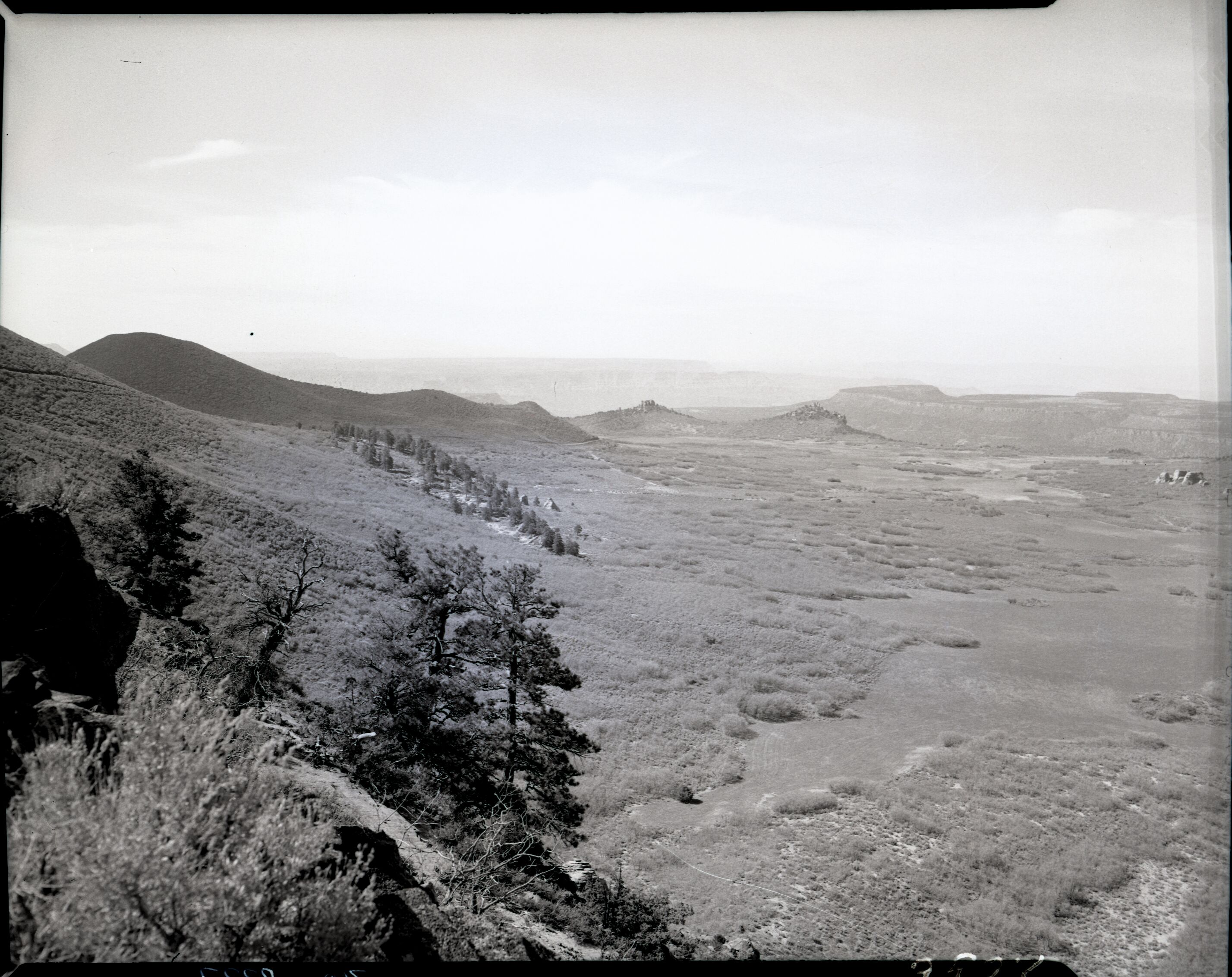 Lameraux property, land appraisal for proposed purchase, section 32, T 39 N, R 11 W, from near southeast corner; looking west, for location of road to head of Hop Valley.