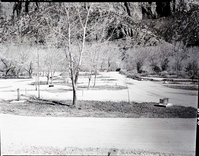 South Campground extension.