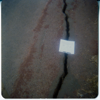 Crack in road in need of repair with paper marking over top.